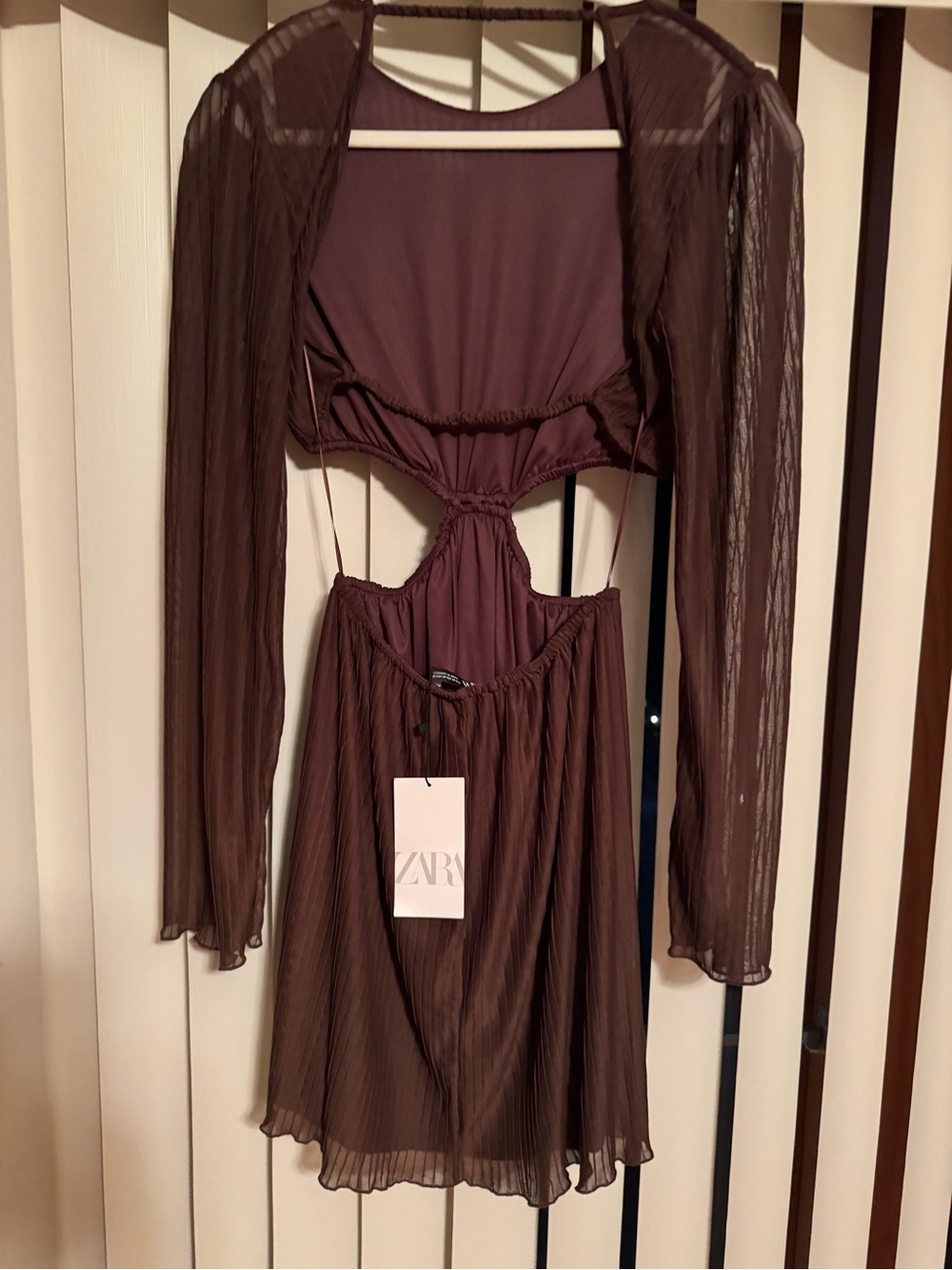 Zara Long-Sleeve Cutout Pleated Mini Dress in Deep Brown